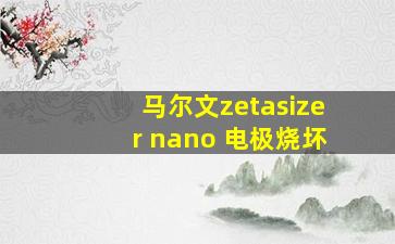 马尔文zetasizer nano 电极烧坏